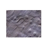 detailclay.gif