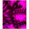 elexpink.gif