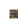 pattern4.gif