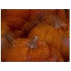 pumpkin_pie.gif