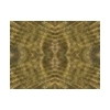rug2.gif