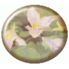flowerbutton2.gif