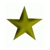 star16.gif