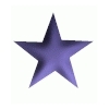star1.gif