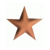 star5.gif